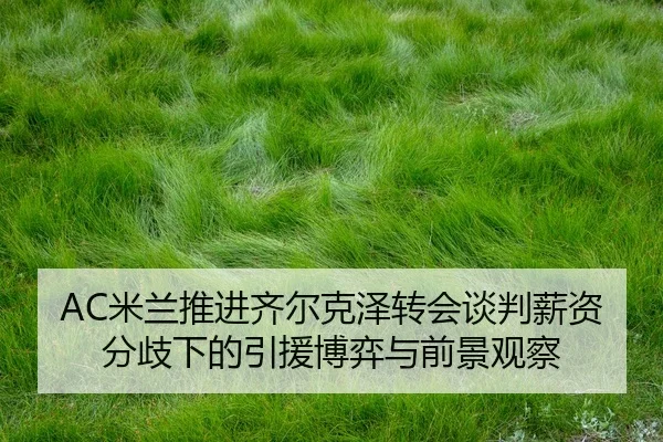 AC米兰推进齐尔克泽转会谈判薪资分歧下的引援博弈与前景观察